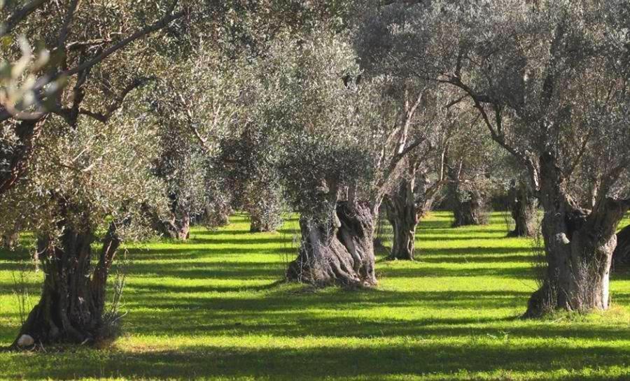 Filoxenia House Marousi -Private Parking- Apartment Atena Exterior foto